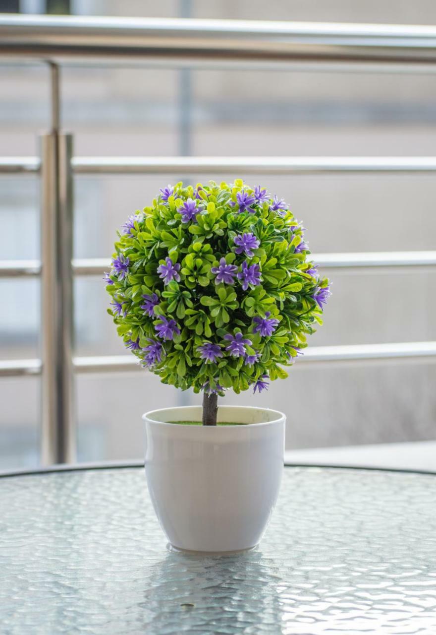 Apartment San Marco 里桑 外观 照片